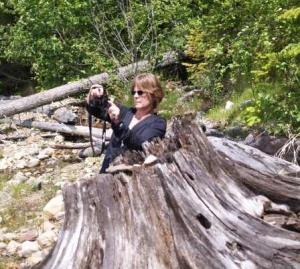 halcyon maureen photographer